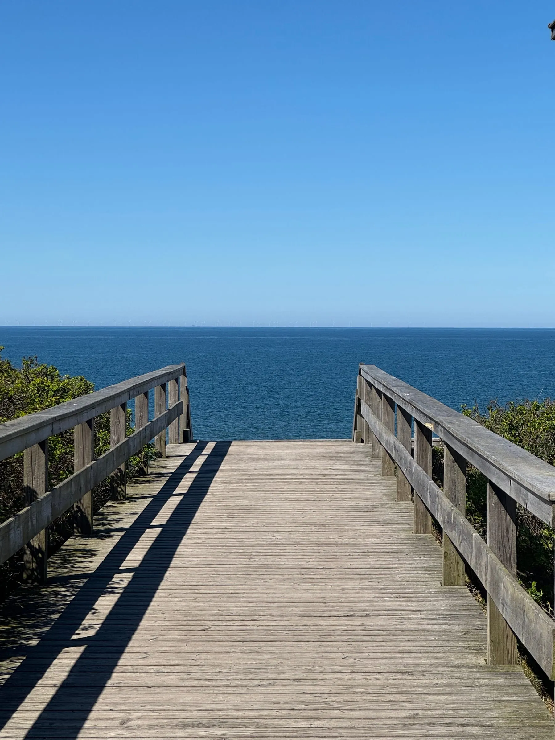 Holzsteg führt durch Dünengras zum Meer