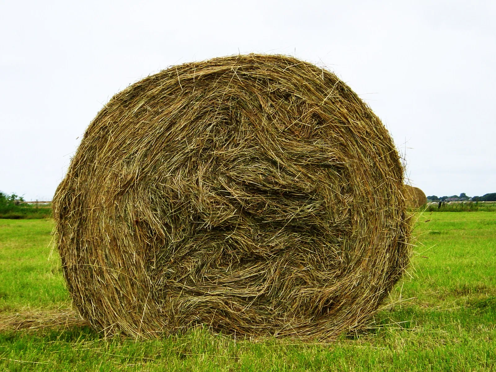 „Geballte“ Natur
